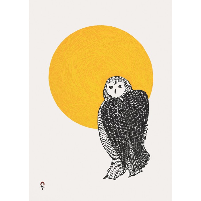 02- PEE ASHEVAK  1965-     Sunlit Owl SOLD